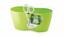 Květináč LIMES DUBLO limetka 25cm