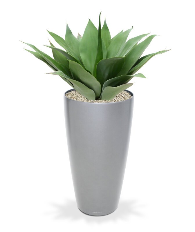 Umelá rastlina Agáve 50 cm