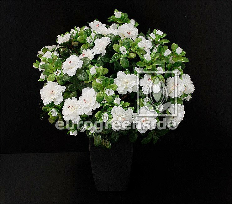 Umelá belgická azalka biela 40 cm