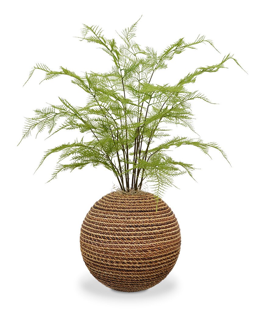 Umelá rastlina Asparagus 9 umelých špargľových vetiev v dekoratívnej nádobe