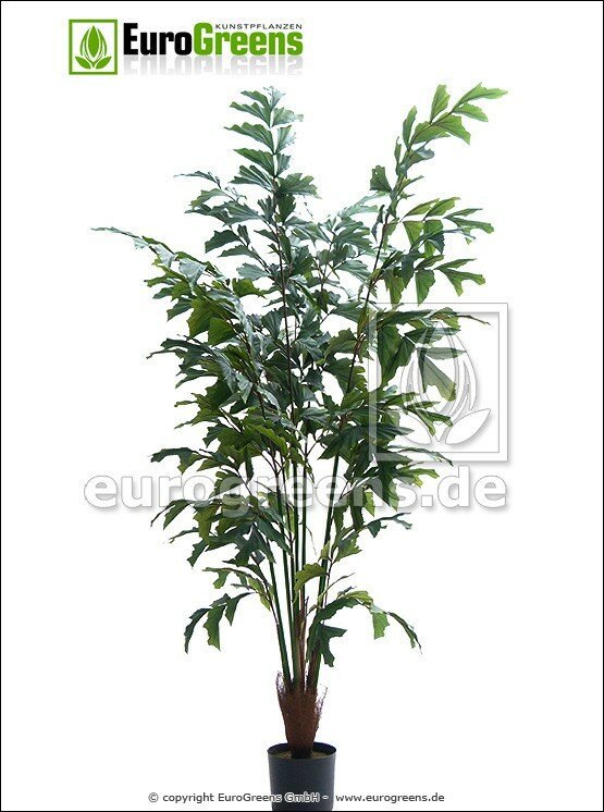 Umelá palma Rybí chvost 170 cm