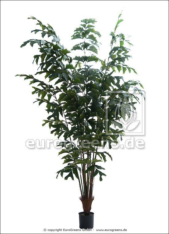 Umelá palma Rybí chvost 240 cm