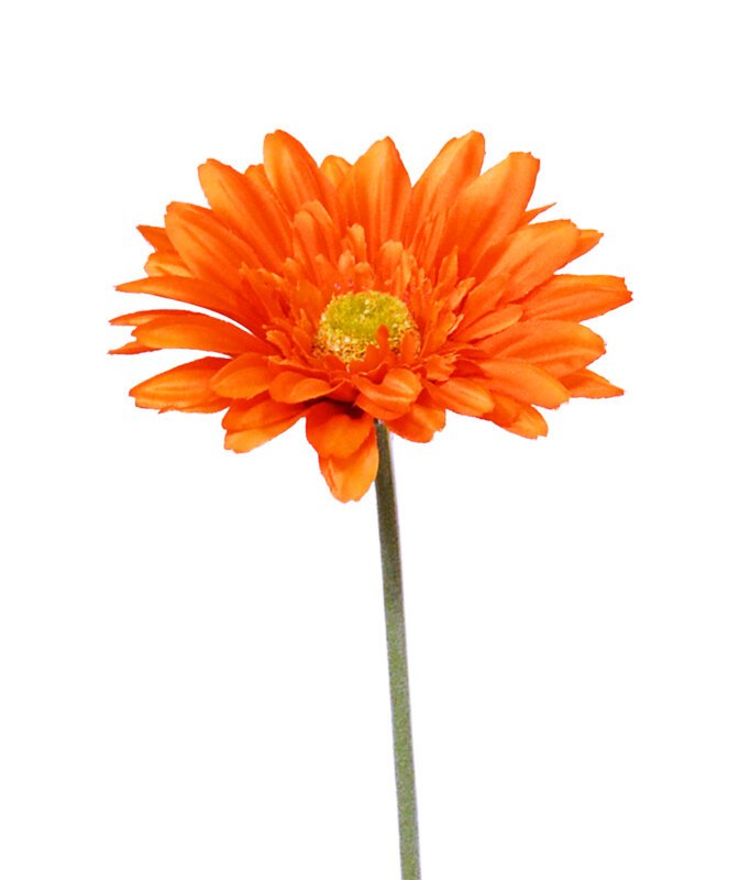 Umelý kvet stonky Gerbera 60 cm oranžový