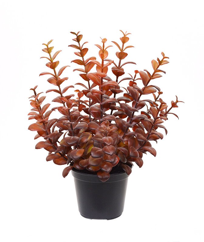 Umelá rastlina Eukalyptu 30 cm vínová farba
