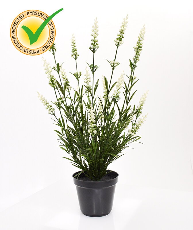 Umelá rastlina Levanduľa v kvetináči 50 cm - biela