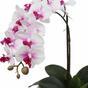 Umelá Orchidea 43 cm