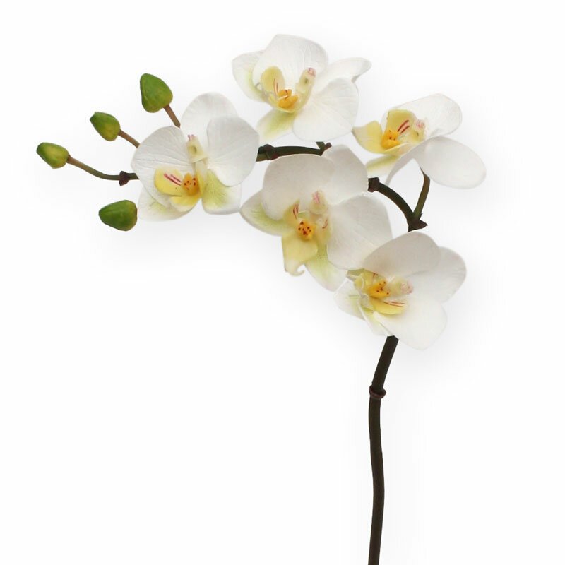 Umelá biela vetva Orchidea Phalaenopsis 50 cm