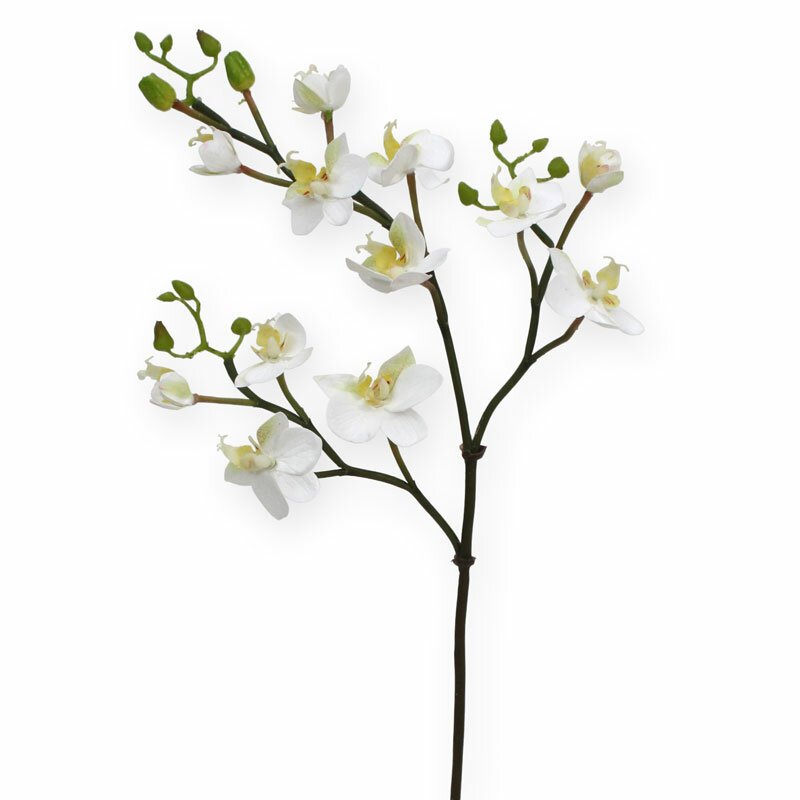 Umelá vetva Mini Phalaenopsis biela 60 cm