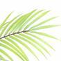 Umelá palma Areca 150 cm