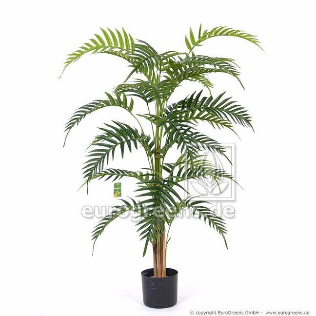 Umelá palma Areca Royal 120 cm