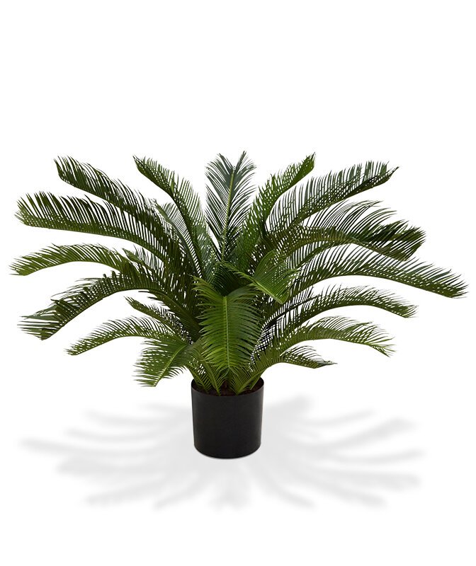 Umelá palma Cycas Deluxe 80 cm