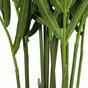 Umelá palma Kentia 180 cm