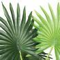 Umelá palma Livistona mini 160 cm