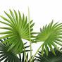 Umelá palma mini Livistona 65 cm