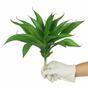 Umelá rastlina Agáve 25 cm