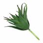 Umelá rastlina Aloe 13,5 cm