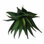 Umelá rastlina Aloe 13,5 cm