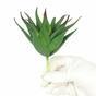 Umelá rastlina Aloe 13,5 cm