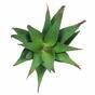Umelá rastlina Aloe 13,5 cm