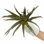 Umelá rastlina Aloe  27 cm