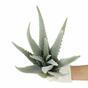 Umelá rastlina Aloe 45 cm