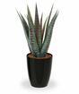 Umelá rastlina Aloe Vera 30 cm