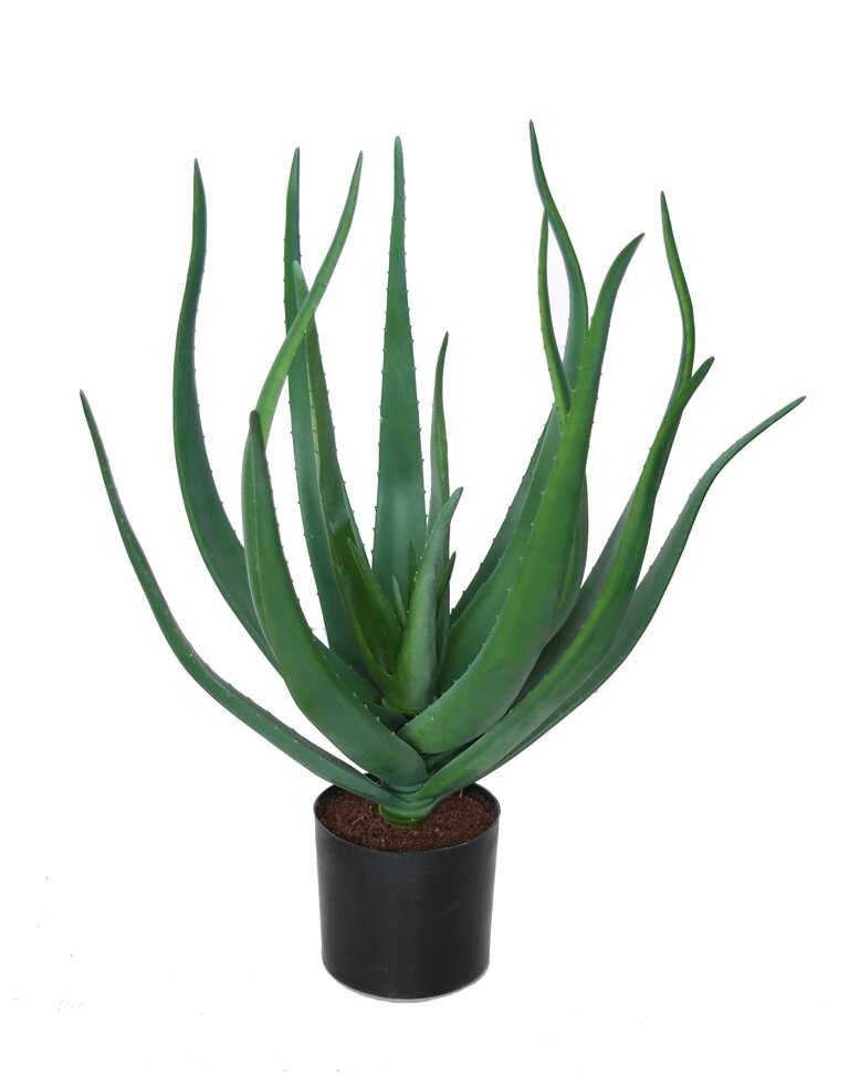 Umel rastlina aloe vera 60cm 