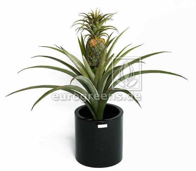Umelá rastlina Ananás 75 cm