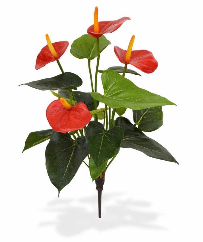 Umelá rastlina Antúria 40 cm - červená