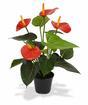 Umelá rastlina Antúria červená 40 cm
