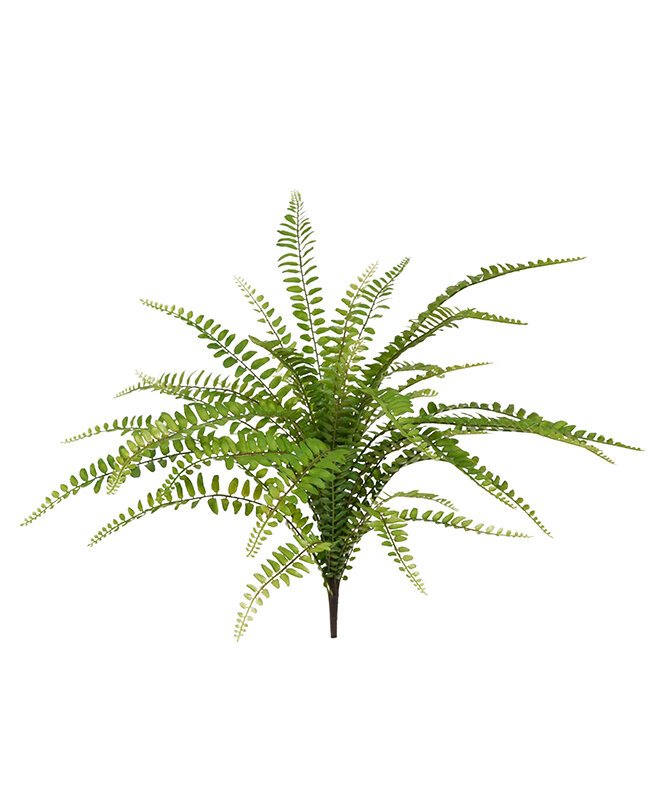 Umelá rastlina Asplenium Fern 45 cm