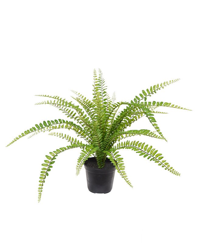 Umelá rastlina Asplenium 45 cm v kvetináči