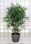 Umelá rastlina Bambus 270 cm