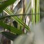 Umelá rastlina Bambus 70 cm