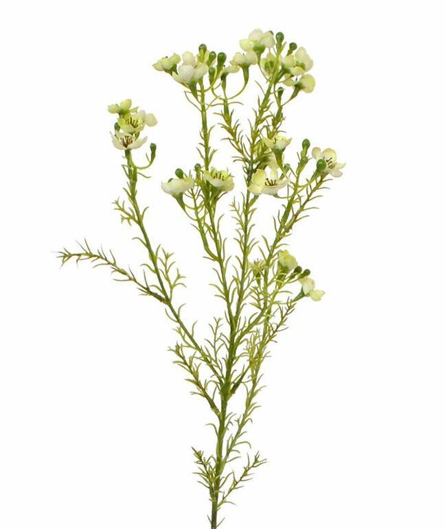 Umelá rastlina Chamelaucium uncinatum 65 cm