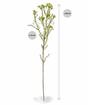 Umelá rastlina Chamelaucium uncinatum 65 cm