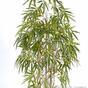 Umelá rastlina Čínsky Bambus 150 cm