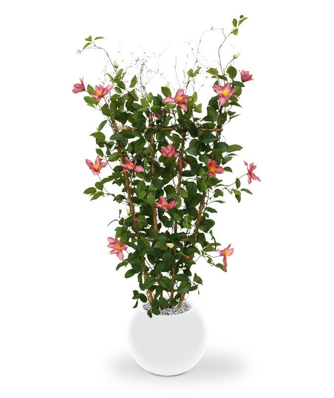 Umelá rastlina Clematis 125 cm - ružová
