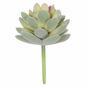 Umelá rastlina Echeveria zamatová 9,5 cm