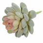 Umelá rastlina Echeveria zamatová 9,5 cm