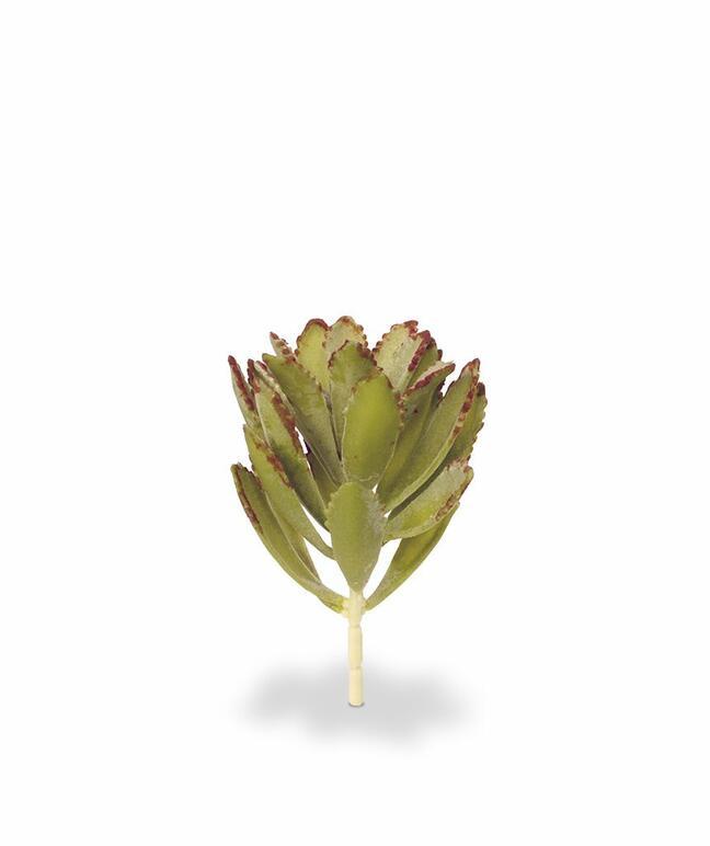Umelá rastlina Eševéria 15 cm