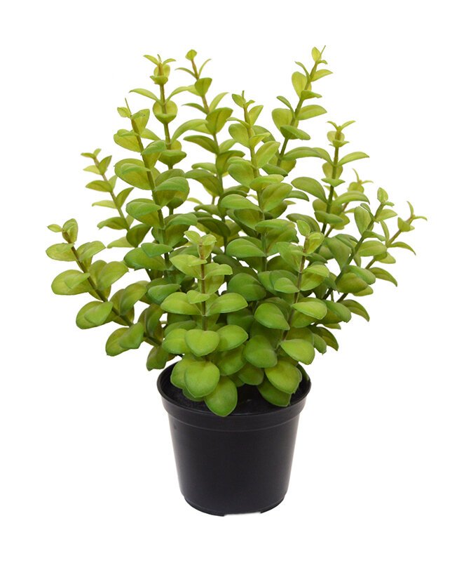 Umelý Eukalyptus 30 cm