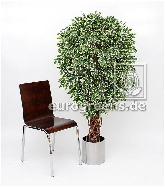 Umelá rastlina Ficus Liane de luxe s malými listami - krémovo zelená 150cm
