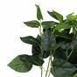 Umelá rastlina Filodendron 45 cm