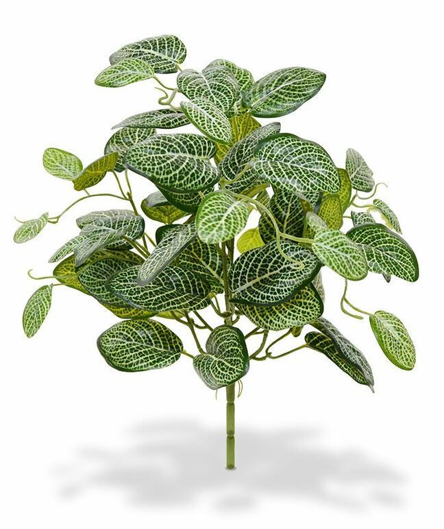 Umelá rastlina Fitónia 40 cm