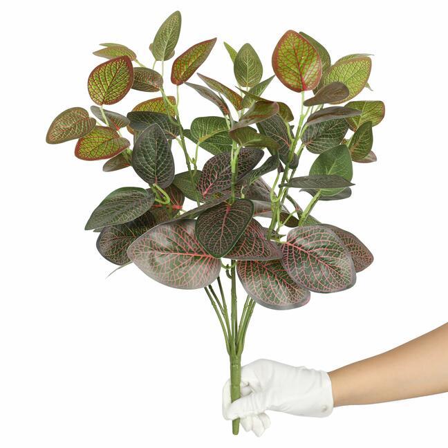 Umelá rastlina Fitónia červená 45 cm