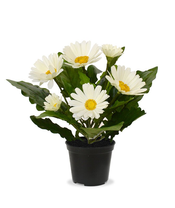 Umelá rastlina Gerbera krémová 30 cm