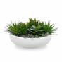 Umelá rastlina Haworthia 13 cm