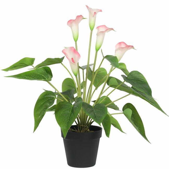 Umelá rastlina Kala bieloružová 50 cm