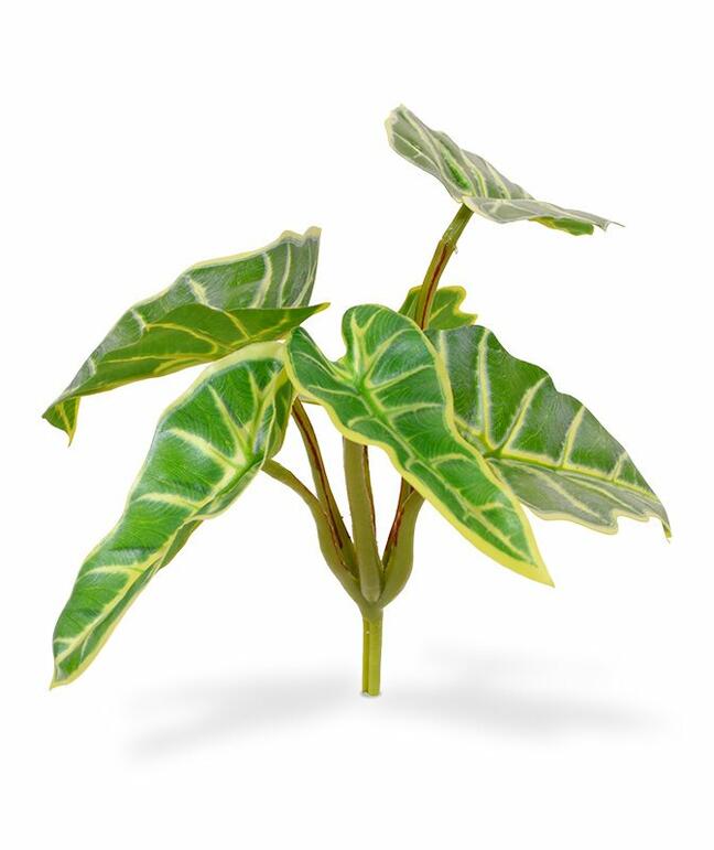 Umelá rastlina Kaládium 20 cm